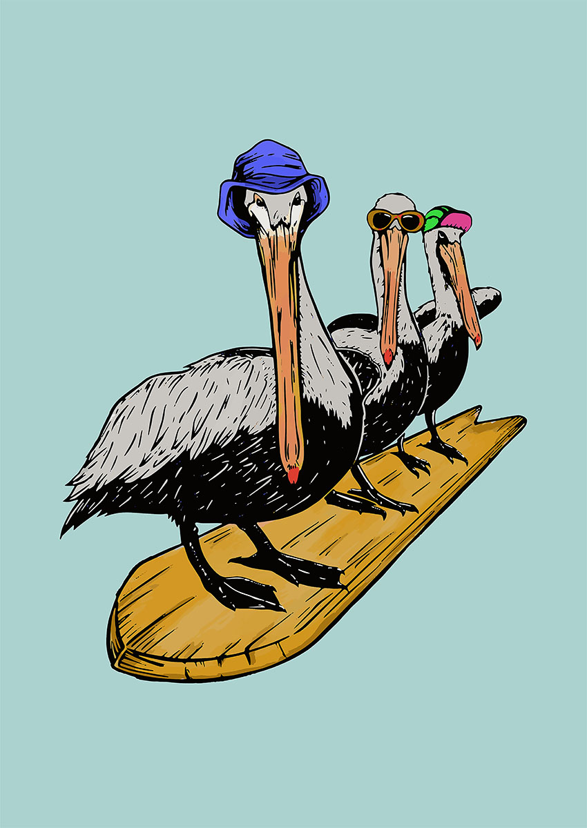 Playful artwork of three pelicans with hats and sunglasses on a surfboard