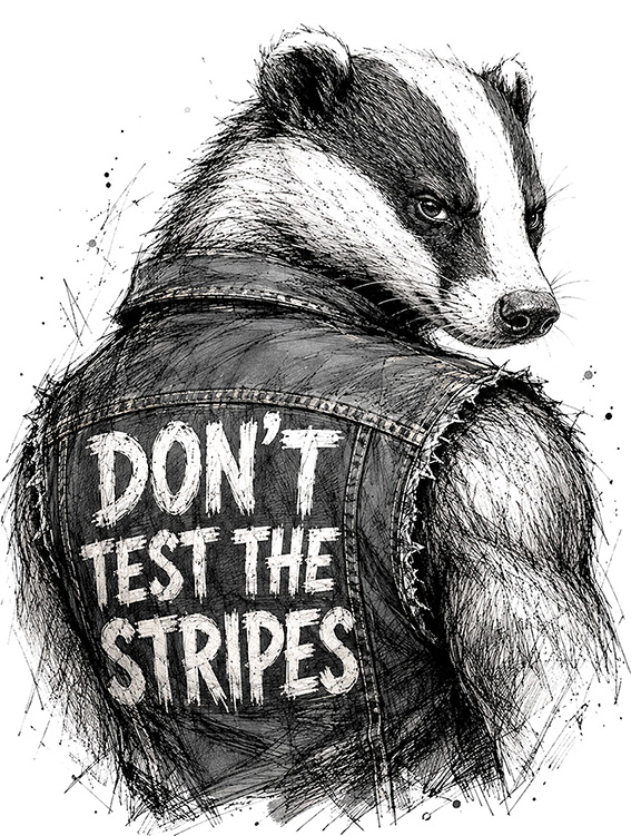 CocoFox animal T-shirt designs for adults and kids